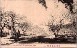 1001805■戦前 絵葉書■茨城 　常磐公園梅林