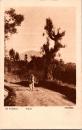 1001830■戦前 絵葉書■外国　海外 De Ardjoeno Kletak