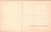 1001832■戦前 絵葉書■外国　海外 Tovoli Scalinata nella Villa D' Este