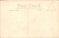 1001833■戦前 絵葉書■外国　海外　写真版　象　ゾウ　象乗り　象進行 人混み　
