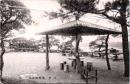 1001835■戦前 絵葉書■水戸　偕楽園公園の一部