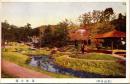 1001852■戦前 絵葉書■松山名所　道後公園