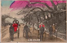 1001864■戦前 絵葉書■東京 手彩色 上野公園の桜と人力車