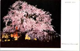 1001924■戦前 絵葉書■　京都　祇園の夜桜