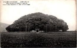 1001946■戦前 絵葉書■兵庫 淳仁天皇御陵