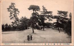 1001951■戦前 絵葉書■福岡 西公園の見晴し