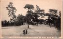 1001951■戦前 絵葉書■福岡 西公園の見晴し