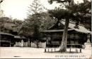 1001958■戦前 絵葉書■官幣大社 伊弉諾神社　本殿 幣殿 拝殿