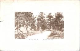 1001984■戦前 絵葉書■近江菜津之晴嵐　（人力車)