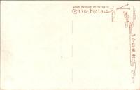 1001995■戦前 絵葉書■明治神宮鎮座祭東京市奉祝会式場（日本国旗 旭日旗)