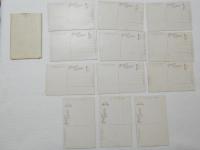 2000028●戦前　絵葉書●日本アルプス 絵葉書 12枚 袋つき 袋破れあり　