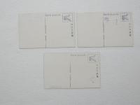 2000031●戦前　絵葉書●箱根名所 強羅公園 旧関所 瀧 3枚