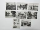 2000033●絵葉書●賀茂別雷神社 8枚