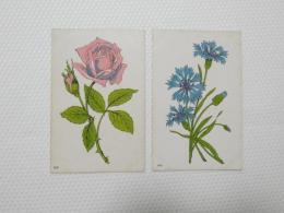 2000046●戦前　絵葉書●アート・画 花　2枚