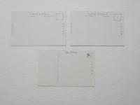 2000060●戦前　絵葉書●第十回文部省美術展覧会出品 3枚 牡丹 澤 白? 高山春凌氏 河合玉堂氏