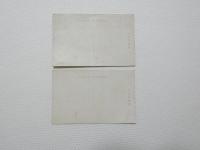 2000065●戦前　絵葉書●東京　東京駅　桜田門　明治神宮本殿 2枚