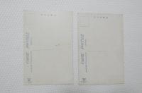 2000077●戦前　絵葉書●頼家公の墓 城山公園 2枚　漫画　アート　写真 2枚