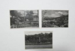 2000080●絵葉書●写真版 宇治　塔の島風景 3枚