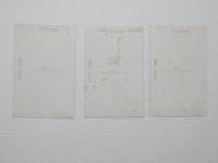 2000085●戦前　絵葉書●西郷南洲筆 吉田松陰筆 藤田東湖筆 3枚