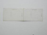2000091●戦前　絵葉書●官幣大社多賀神社 　パノラマ