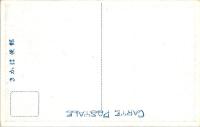 1002043■戦前 絵葉書■谷汲山本殿