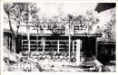 1002049■戦前 絵葉書■三十三所谷汲山　本尊御枚の白藤