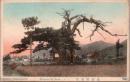 1002075■戦前 絵葉書■兵庫県 須磨村雨堂