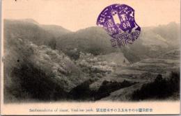1002090■戦前 絵葉書■吉野公園の千本及上の千本桜遠望