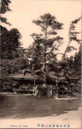 1002102■戦前 絵葉書■高野山御影堂三鈷松