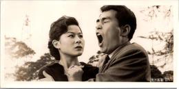 20060■映画　スチール写真 ■億万長者　南廣　中原ひとみ　山東昭子　八代万智子　桜京美