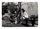 10023■映画　スチール写真 ■1961　女家族　三益愛子　新珠三千代　久我美子　黛ひかる　　16.5cm×12cm　　　