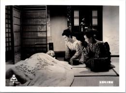 10079■映画　スチール写真 ■五番町夕霧楼　佐久間良子　田坂具隆　河原崎長一郎　木暮実千代　16.5cm×12cm