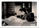 10079■映画　スチール写真 ■五番町夕霧楼　佐久間良子　田坂具隆　河原崎長一郎　木暮実千代　16.5cm×12cm