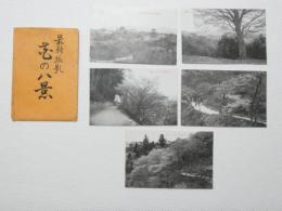 2000118●戦前　絵葉書●花の八景 5枚　袋つき 吉野竹林院群芳園の桜　吉野芳宮址の老桜 吉野藏王堂下道の桜　吉野山の千本