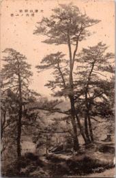 1002184■戦前 絵葉書■大津山神社　境内の一部