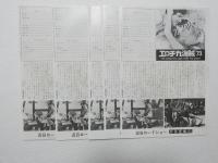 100102■映画 チラシ■ラント・ブッツァンカ「エロチカ海賊'73」ステーノ監督 5枚