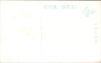 1002249■戦前 絵葉書■屏風ヶ浦大本山善通寺大木楠