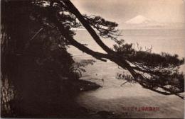 1002260■戦前 絵葉書■近之島西浦より富士山