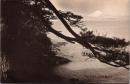 1002260■戦前 絵葉書■近之島西浦より富士山