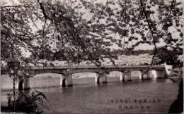 1002265■戦前 絵葉書■樹敷八幡余本　桜花の加治川