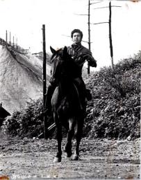 10288■映画　スチール写真 ■紅の銃帯　宍戸錠 香月美奈子 松原智恵子 青山恭二 内田良平　14cm×11cm ピン穴　