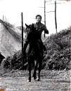 10288■映画　スチール写真 ■紅の銃帯　宍戸錠 香月美奈子 松原智恵子 青山恭二 内田良平　14cm×11cm ピン穴　