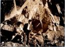 10297■映画　スチール写真 ■俺は地獄へ行く　宍戸錠　笹森礼子　香月美奈子　小高雄二　楠侑子　15.5cm×11cm　ピン穴