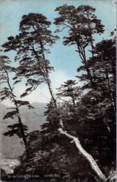 1002278■戦前 絵葉書■高野山　頂上より甲州街道方面の景