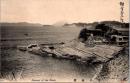 1002289■戦前 絵葉書■鎌倉材木社　夏の海辺 明治・大正期