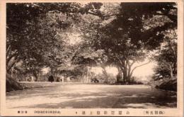 1002296■戦前 絵葉書■北海道　函館　公園運動場上通り