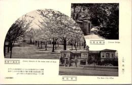 1002297■戦前 絵葉書■広島 呉名所 呉市役所 水源地の桜花 湯船温泉場