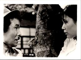 10805■映画　スチール写真 ■男はつらいよ　渥美清・倍賞千恵子・吉永小百合　光本 幸子　浅丘ルリ子　竹下景子　栗原小巻　桜田淳子　松坂慶子　後藤久美子 16.5cm×12cm　