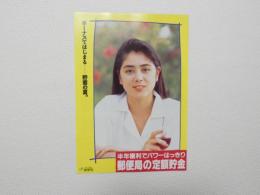 100316■チラシ■郵便局の定額貯金 郵便局