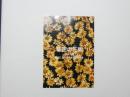 100321■チラシ■秘密の花園 春の力篇 劇団こたつ猫一座 88夏公演